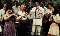 Folk musicians playing at wedding
